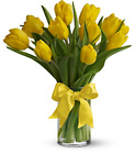 Sunny Yellow Tulips from Flowers by Ramon of Lawton, OK